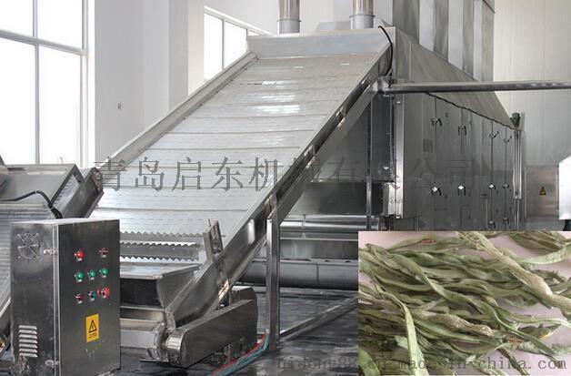 啟東（QD）豆角烘干機(jī) 豆角烘干設(shè)備